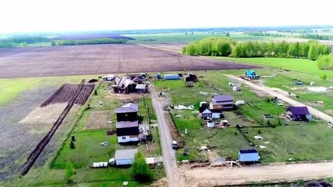 Погода в купаве новониколаевский