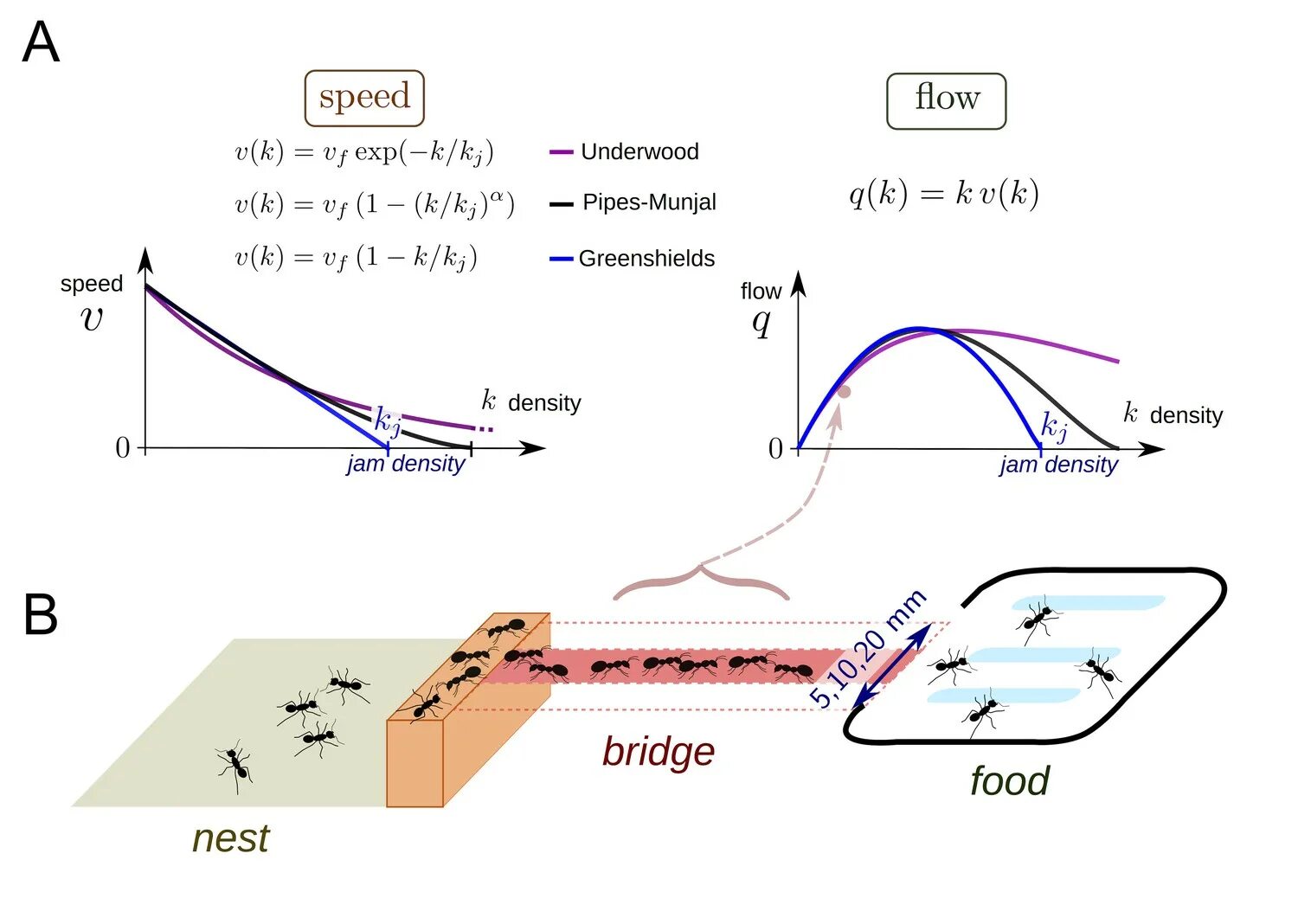 Don t copy my flow speed. Fundamental diagram of traffic flow. high speed density. speed and density sample data transport. speed and density sample data epfl.