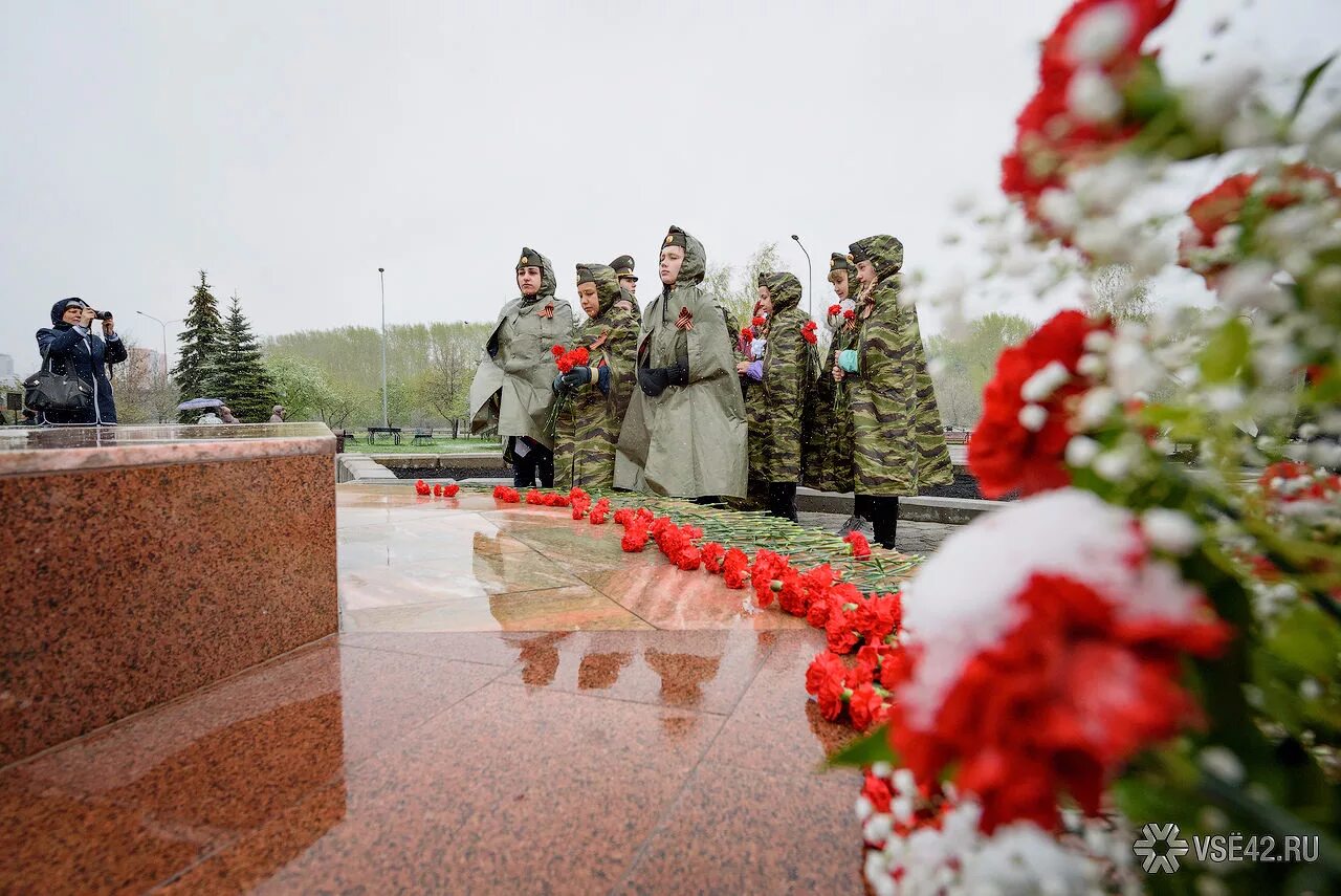 Гвоздики возложение. Возложение гвоздик. Гвоздики снег памятник. Гвоздики возложение какого цвета. Гвоздики на снегу фото.