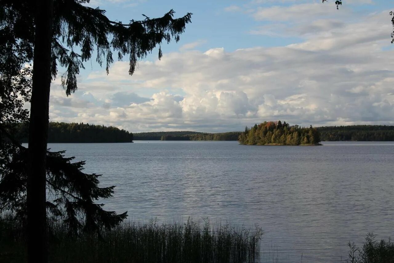 Озеро зеркальное подъезды. Озеро зеркальное ленинградская область фото. Карта глубин озера зеркальное ленинградская область. Зеркальное озеро зеленогорск. Озеро зеркальное ленобласть.