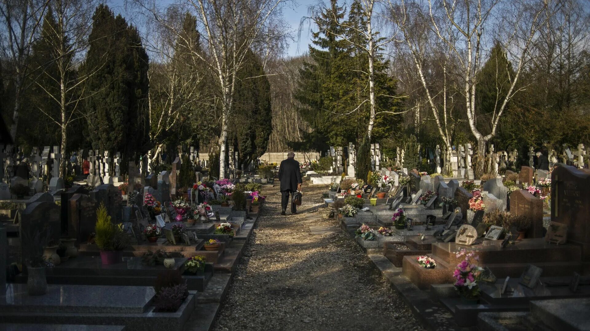 Сен женевьев де буа. Кладбище сент-Женевьев-де-Буа. Русское кладбище в Париже сен Женевьев де Буа. Кладбище Парижа сент Женевьев. Кладбище в Париже сен Женевьев.