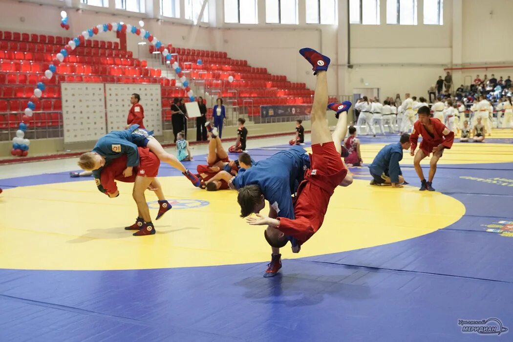 Дворец самбо челябинск. Дворец единоборств верхняя пышма. Дворец спорта самбо краснодар. Дворец самбо конгрессная 2. Дворец самбо верхняя пышма.
