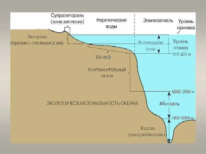 Природная зона океан. Природная зона океан. Природная зона океан. Природная зона океан. Природные зоны евразии атлас 7 класс.