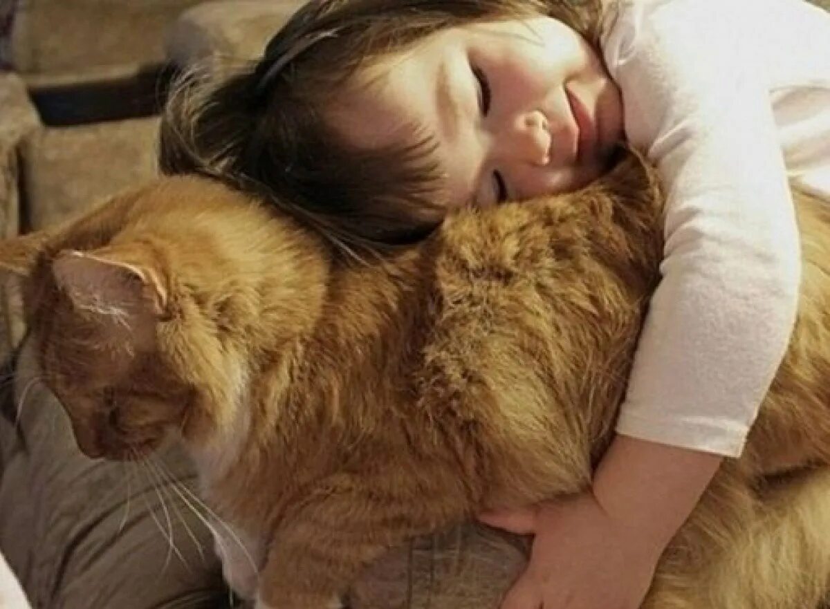 Кот не любит детей. Кот обнимает человека. Котик обнимает человека. Кот обнимашки. Кот для детей.