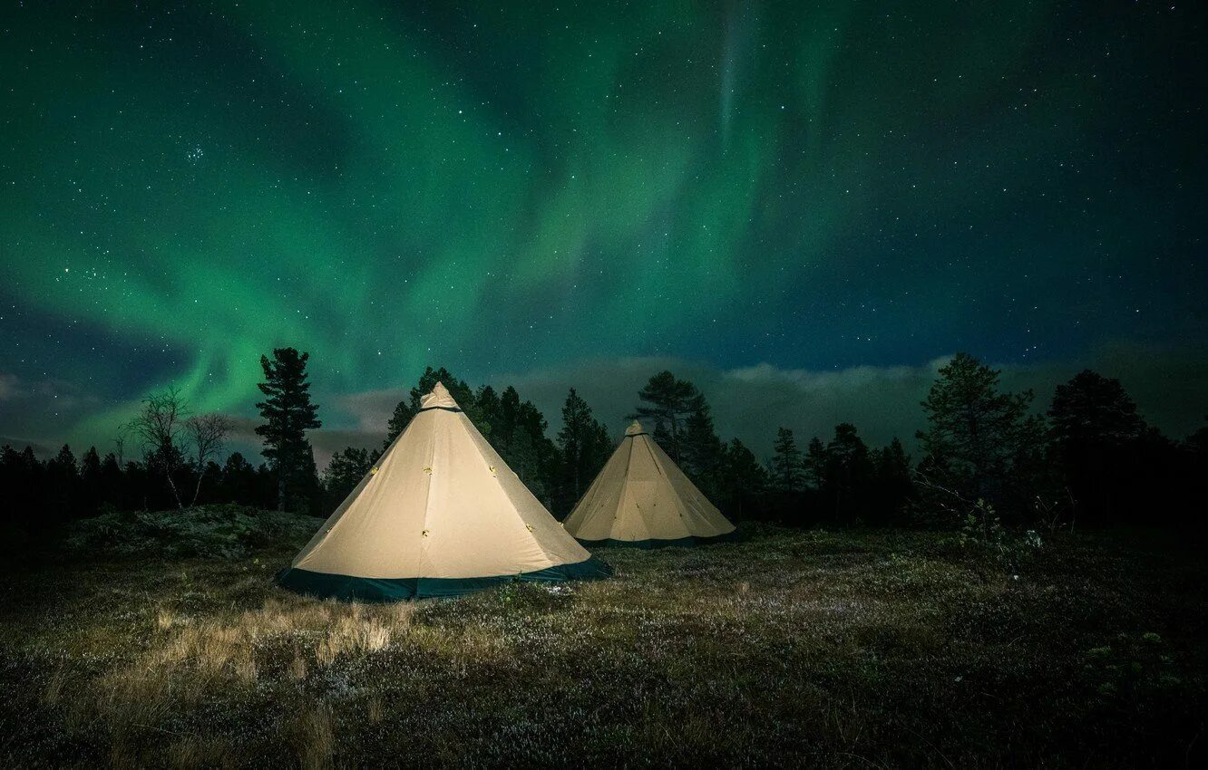 Темнота в палатке. Северное сияние палатка. Палатка в лесу. Палатка в ночном лесу. Палатка в лесу ночью.