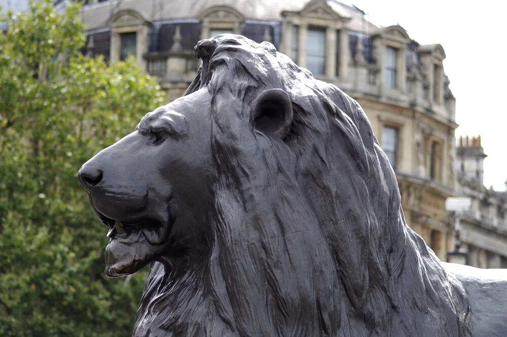 Статуя львов. Трафальгарская площадь львы. London Лев статуе. Скульптура Лев Бермондси в Лондоне. Трафагальская площадь львы.