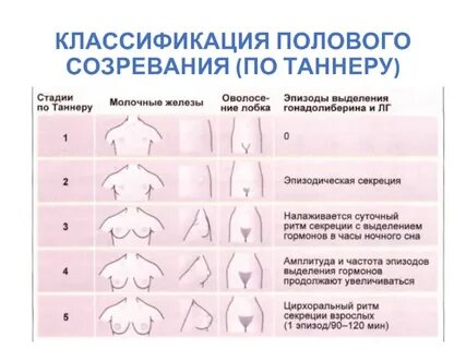 Половое место у девушки