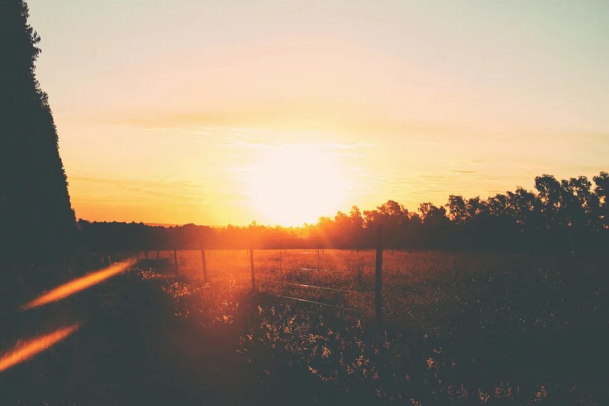 Kindled inspiration glimpse of sunset. Человек на рассвете. Kindled inspiration glimpse of sunset. Обезьяна на закате. Kindled inspiration glimpse of sunset.