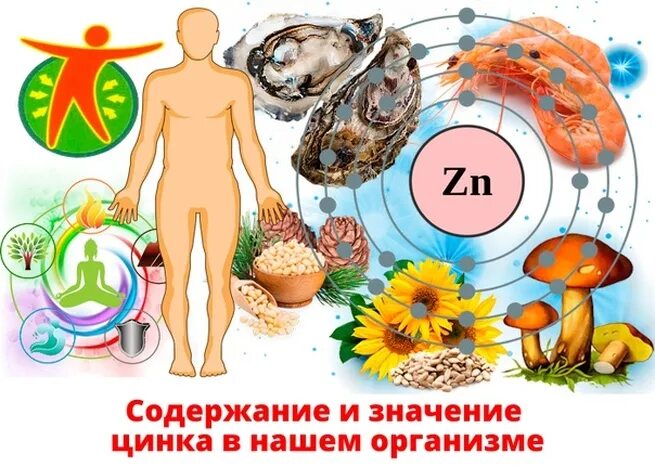 Где находится цинк в организме. Цинк в организме человека. цинк в теле человека. цинк полезен для организма. роль цинка в организме человека.