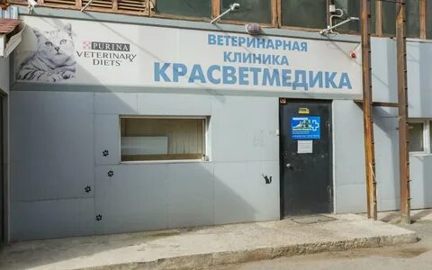 Г вет