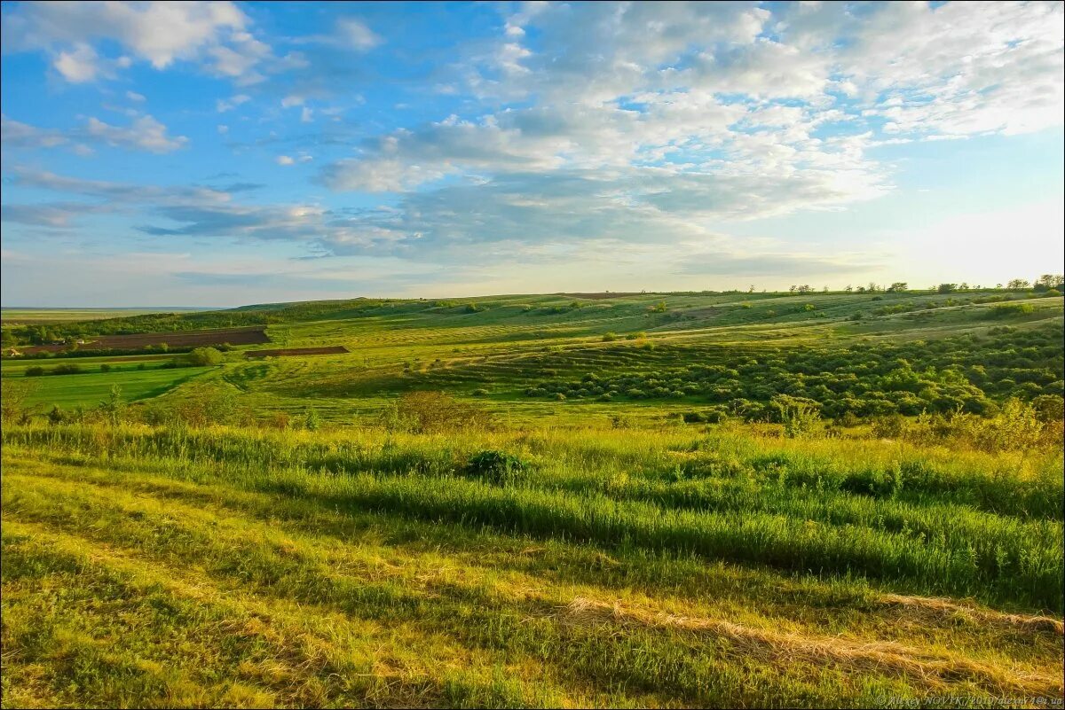 Холмы лесостепи. Степи и лесостепи россии. Природа лесостепи. Степная зона самарской области. Лесостепь молдовы.