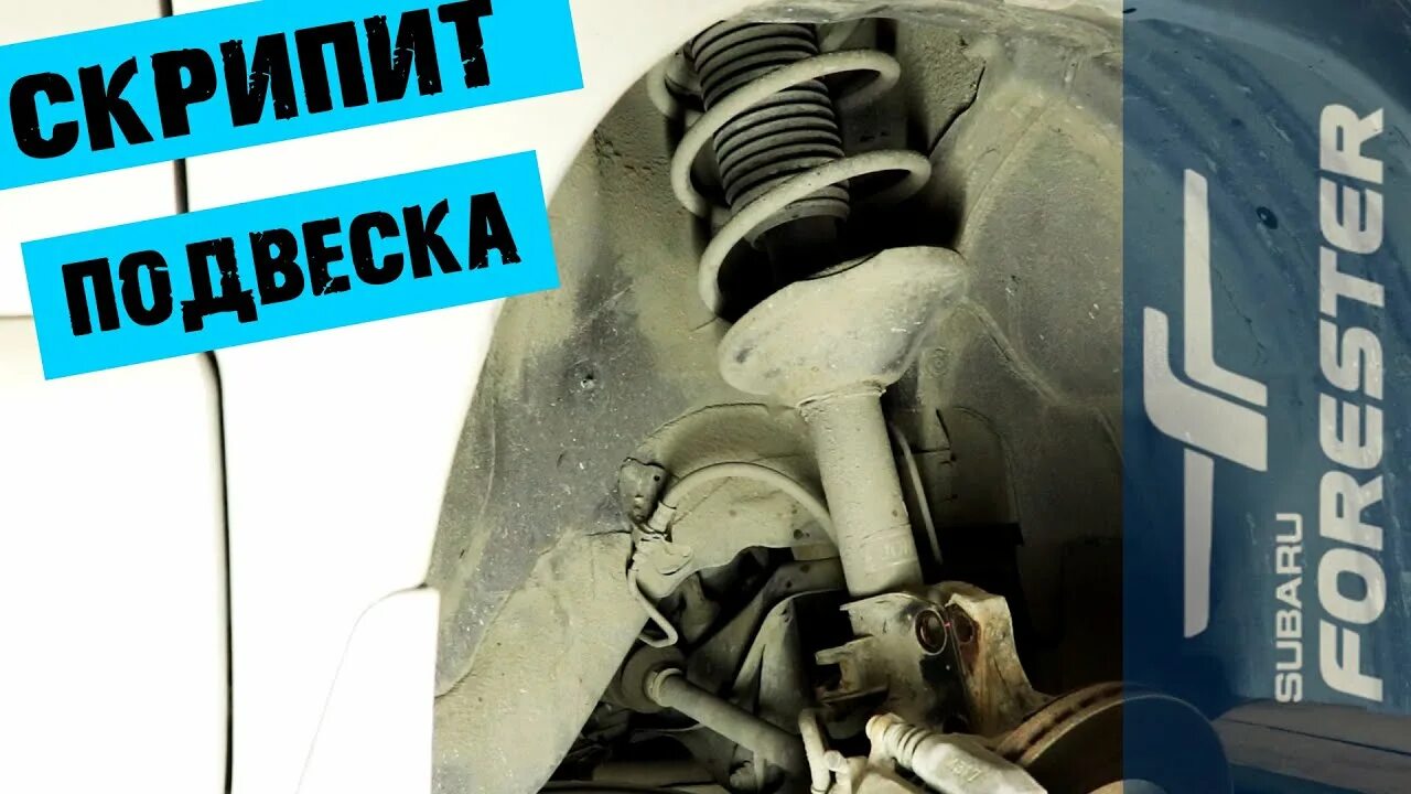 Скрипит подвеска. Скрип в передней подвеске. Скрип подвески на Кочках. Скрипит пружина передней стойки. Скрип больше