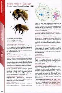 Красная книга нсо