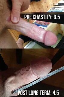 Chastity Penis Shrinkage.