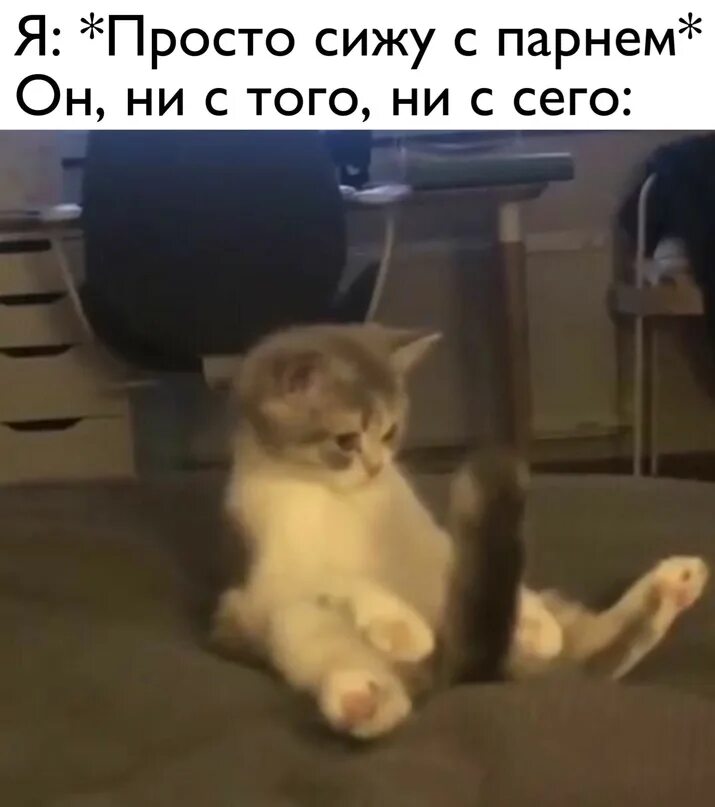 Кот пук. Gif смешные. Гиф кот хоба. Гиф кот пукает. Хоба гифка.