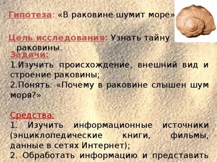 Почему ракушки