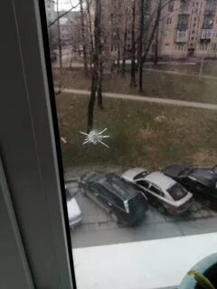 Стрелял из окна