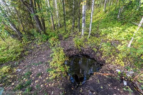 выход нефти