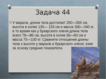 Задача 44
