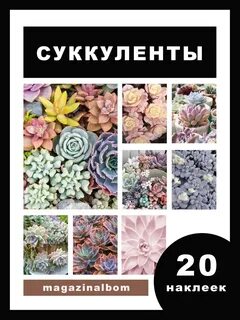 Магазин альбом
