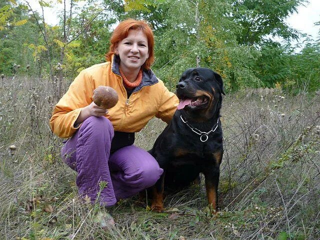 аглицкий продюсер. аглицкий продюсер. аглицкий продюсер. аглицкий продюсер. милагрос из аглицкого сада.