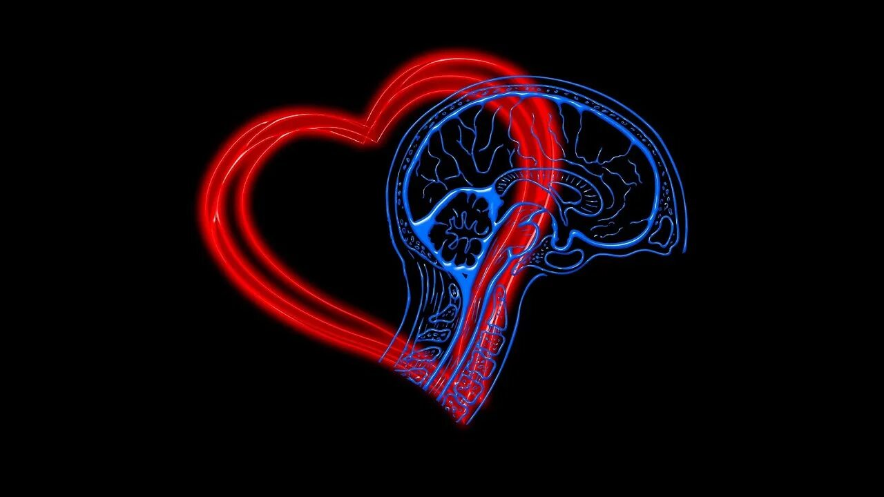 Heart and brain. Сердце и разум. Мозг и сердце. Ум и сердце. Мозг против сердца.