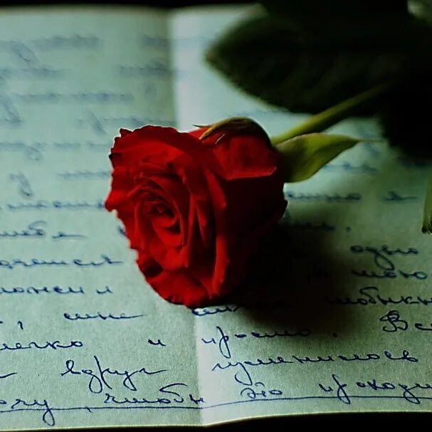 Самое нежное письмо. Письмо любимому. Письмо от любимого. Письмо любимой девушке. Письмо любимому от всей души.
