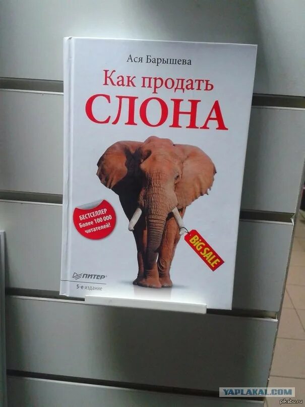 Купи слона ответ. Купи слона. Купи слона прикол. Продам слона. Реклама продажи слона.