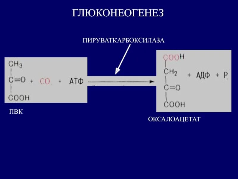 Реакция образования атф. Пируваткарбоксилаза глюконеогенез. оксалоацетат глюконеогенез. глюконеогенез выход атф. синтез глюкозы из пвк.