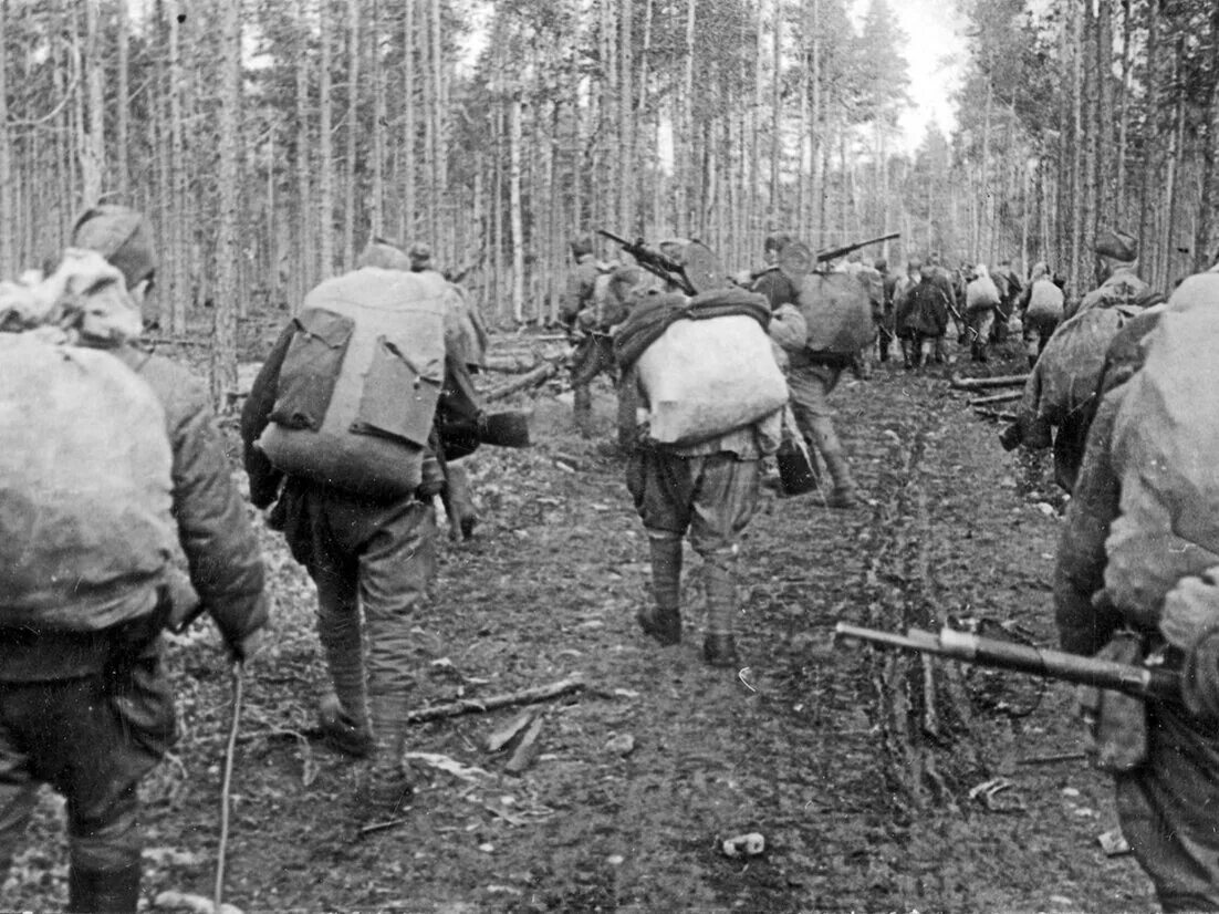 Партизаны в строю. Партизанские отряды в Карелии 1941. Партизаны карельского фронта. Партизан отряд Карельский фронт. Партизанский отряд Григорьева Карелия.