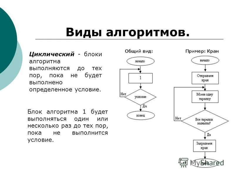 Алгоритмы информатика доклад