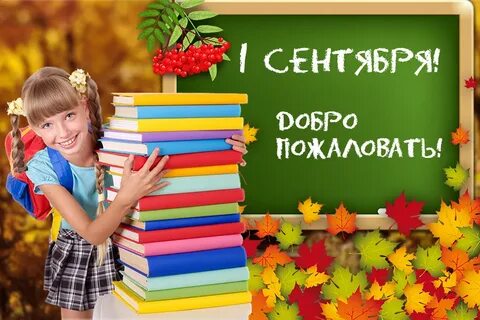 Школьный баннер