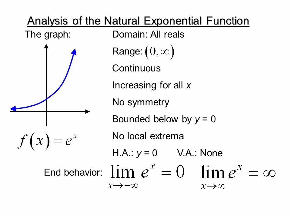 None function. Exponential function. exponential function formula.