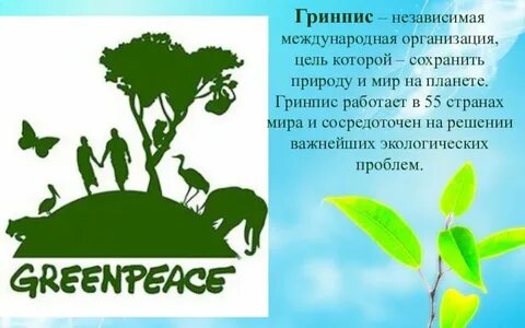 Гринпис где