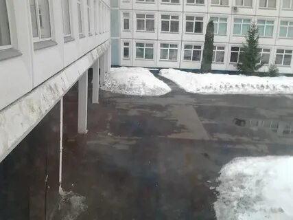 Школа 655