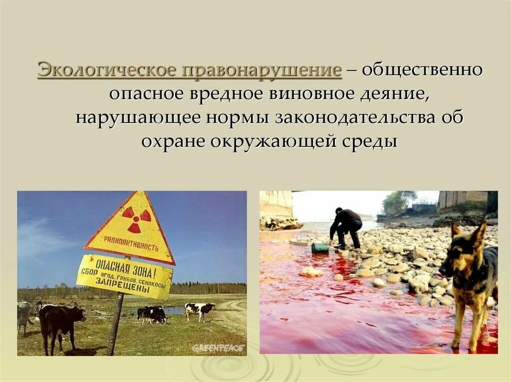 Вред здоровью и нарушить экологический. Профилактика экологических преступлений. Сообщение о вреде наркотиков. Экологические проступки. Норма защиты среды окружающей.