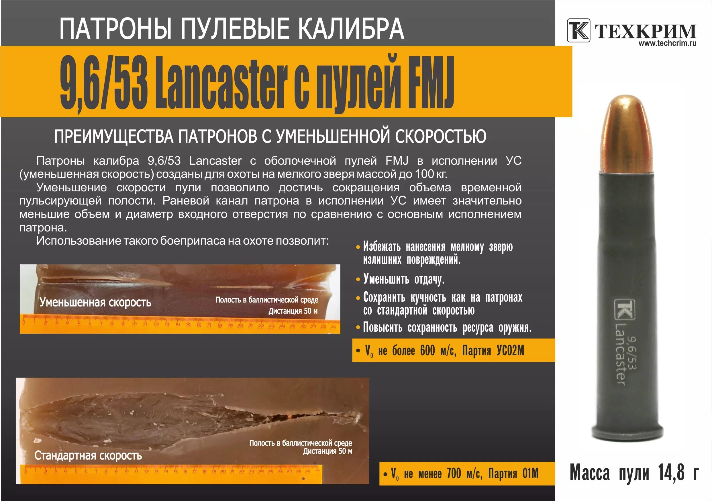 Стандартные патроны. Патрон Калибр 9.6/53 Lancaster. Патроны пулевые калибра 9.6/53 Lancaster охотничьи с оболочечной пулей. 9.6 53 Калибр. Патрон пулевой 9,6/53 Lancaster Кион 18.