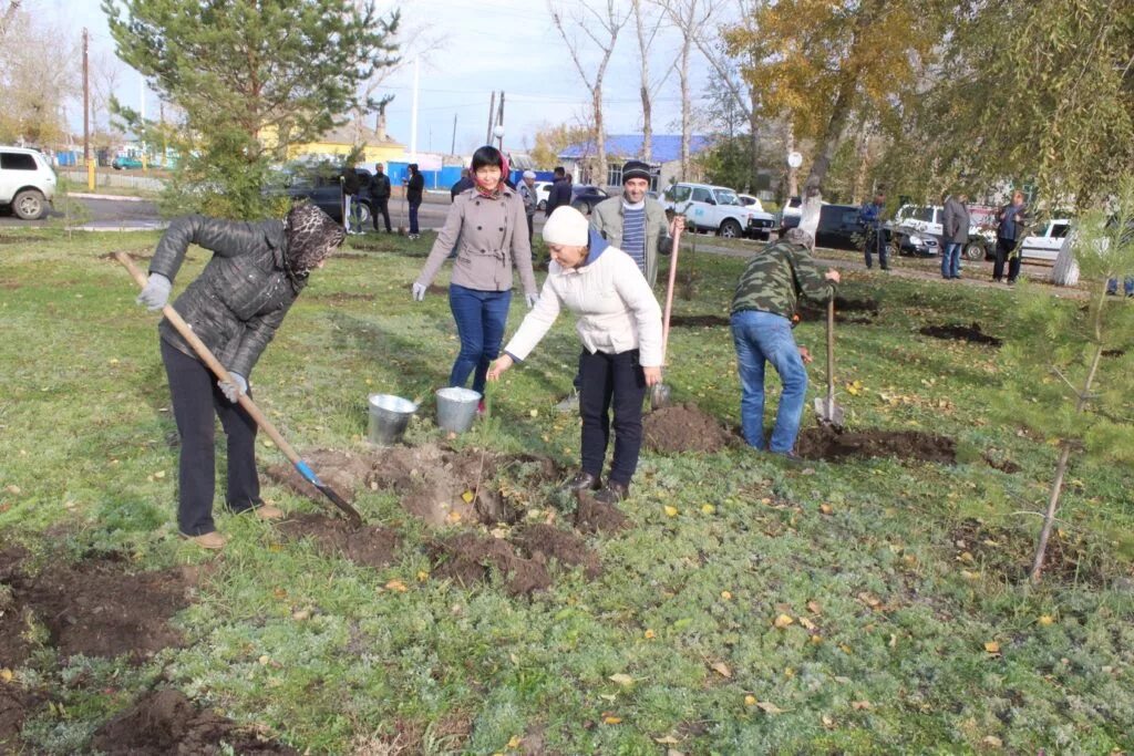 Для посадки деревьев выделили 300 га. Посадка деревьев. Деревья высаживаются в кадки. Для посадки деревьев выделили 300 га. Для посадки деревьев выделили 300 га.