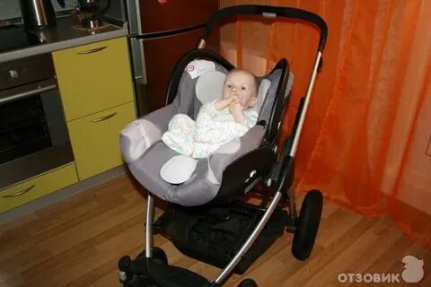 Со скольки месяцев прогулочная