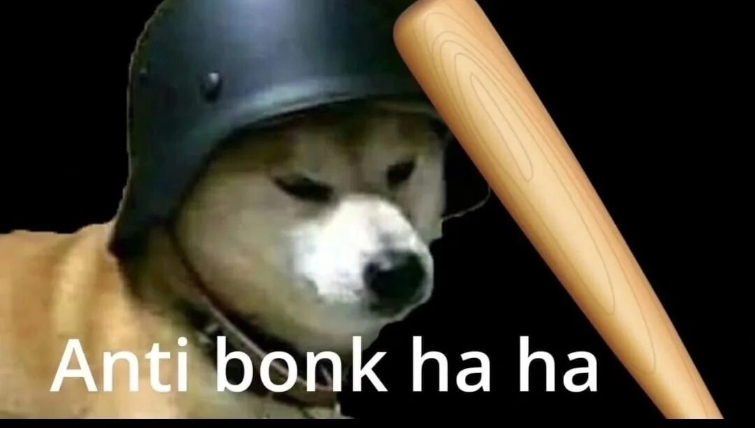 Мем с битой. Anti bonk helmet. собака с битой мем. собака с дубинкой мем. bonk мем с собакой.