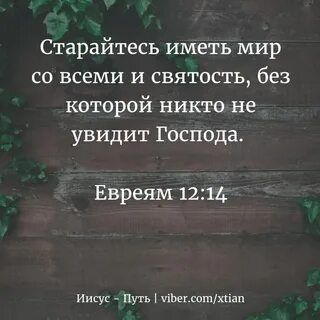 Давай никто не увидит
