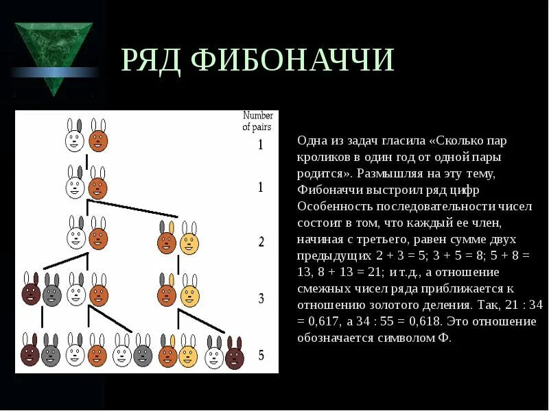 Числа фибоначчи код. Числа фибоначчи таблица. формула вычисления числа фибоначчи. что такое числа фибоначчи кратко. числа трибоначчи.