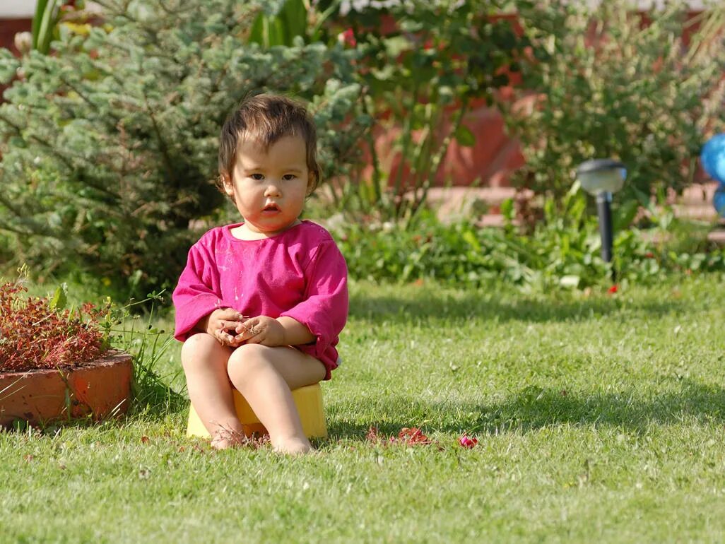 Ребенок на горшке на природе. Девочка Potty. Outside девочки. Тодлер. Pissing daughter