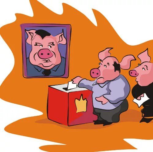 Выборы борьба. Выборы на Украине карикатура. Карикатура Украина свинья.