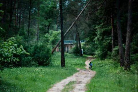 Калужский бор