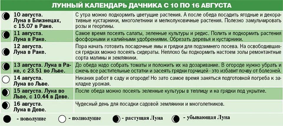 В какие дни можно посадить. Когда надо сажать клубнику. Какого числа можно посадить землянику. Когда лучше высаживать клубнику. Какие числа сажать клубнику.