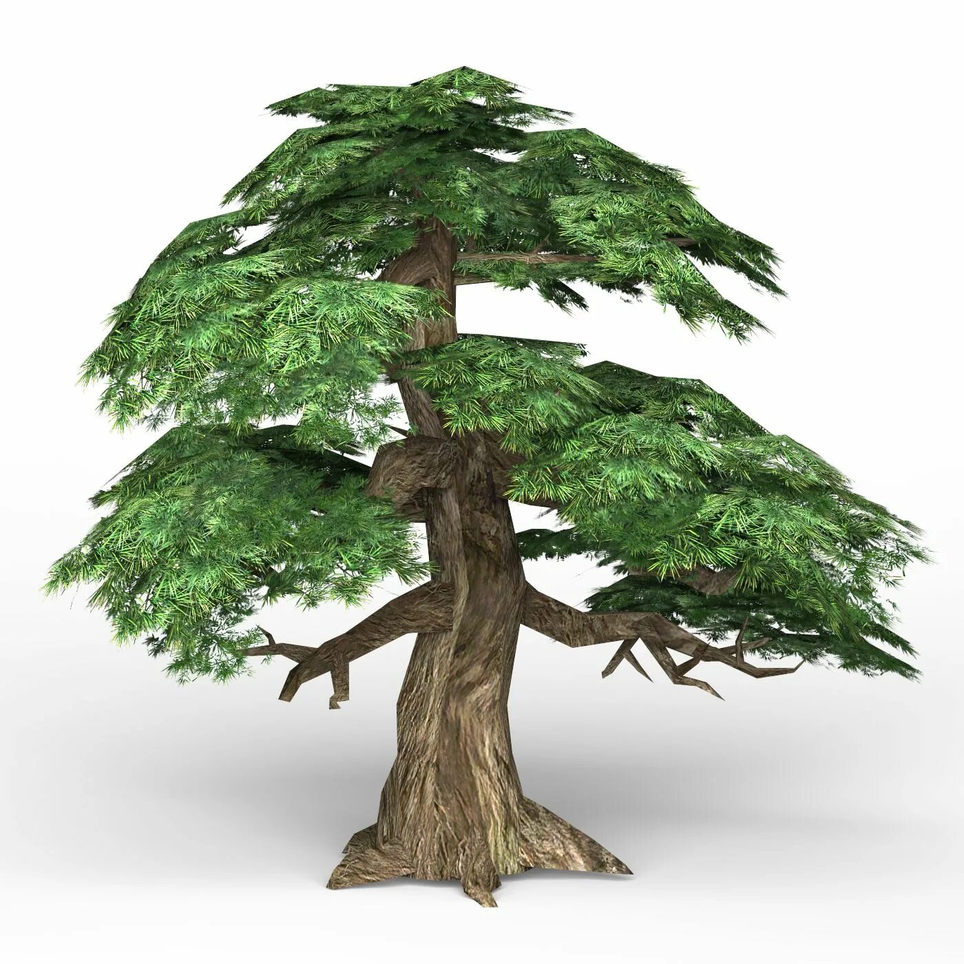 Tree 1.18. Tew tree 3d model. 3ds max tree. реалистичное дерево. дерево stl.
