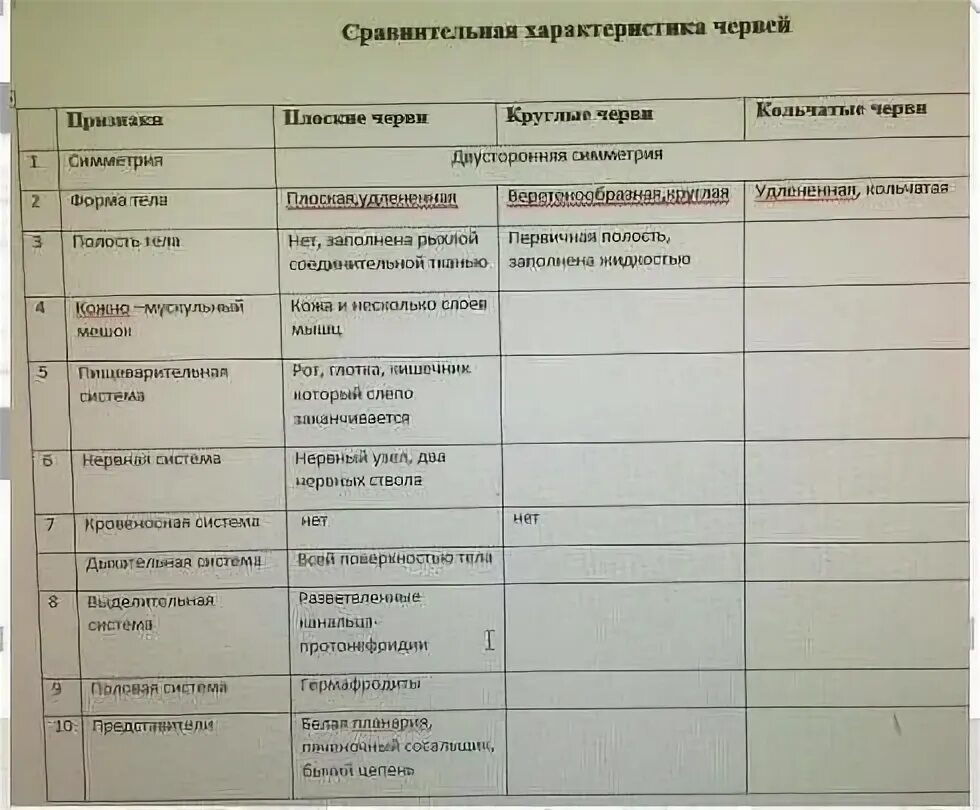 Картинки ПЛОСКИЕ ЧЕРВИ СРАВНИТЕЛЬНАЯ ХАРАКТЕРИСТИКА ЧЕРВЕЙ