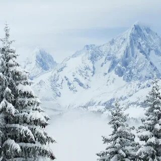 Снежные горы стих