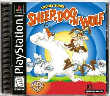 Dog n